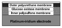 Glucose